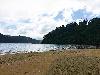 Agricultural-Beach Lot in San Vicente, Palawan for Sale
